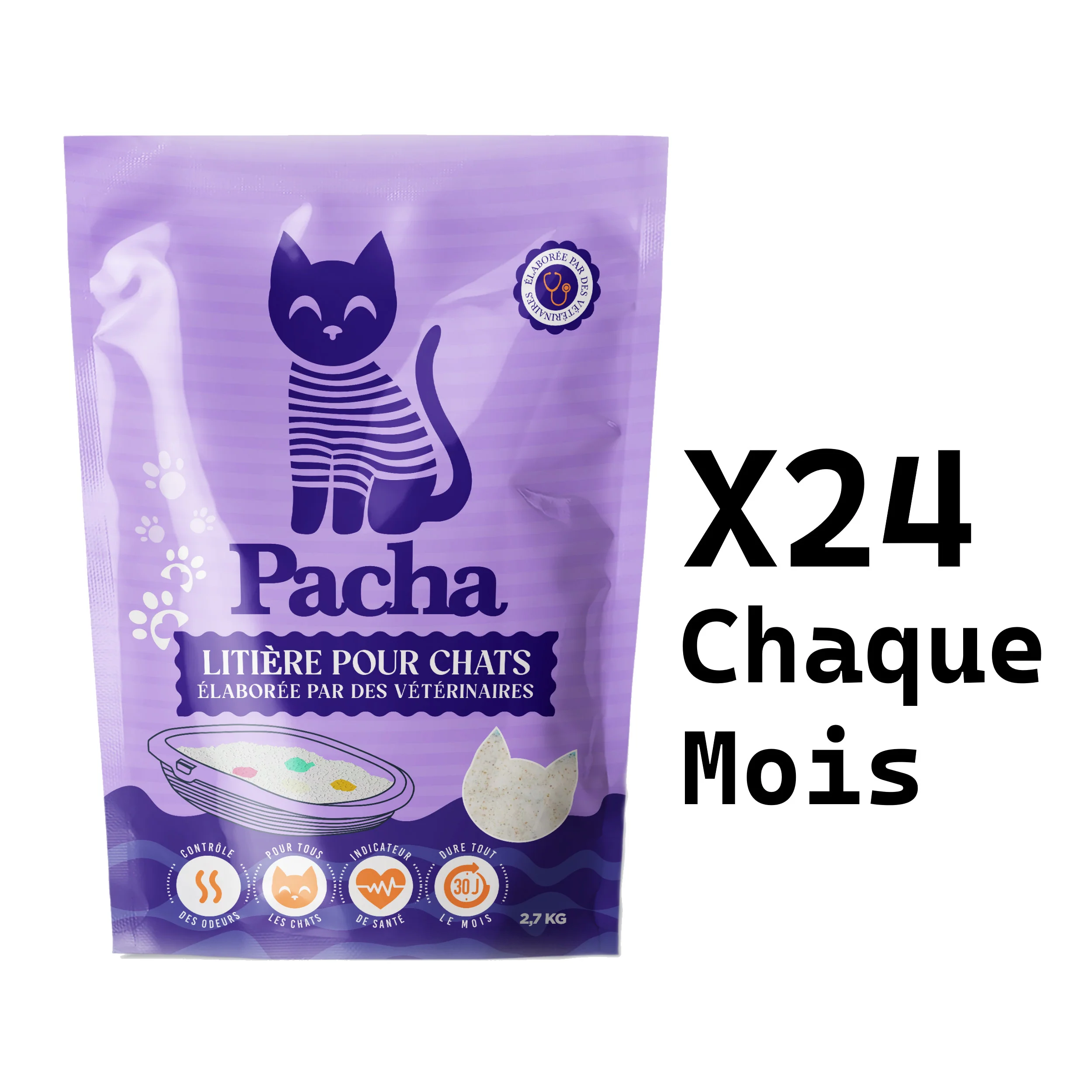 Pacha