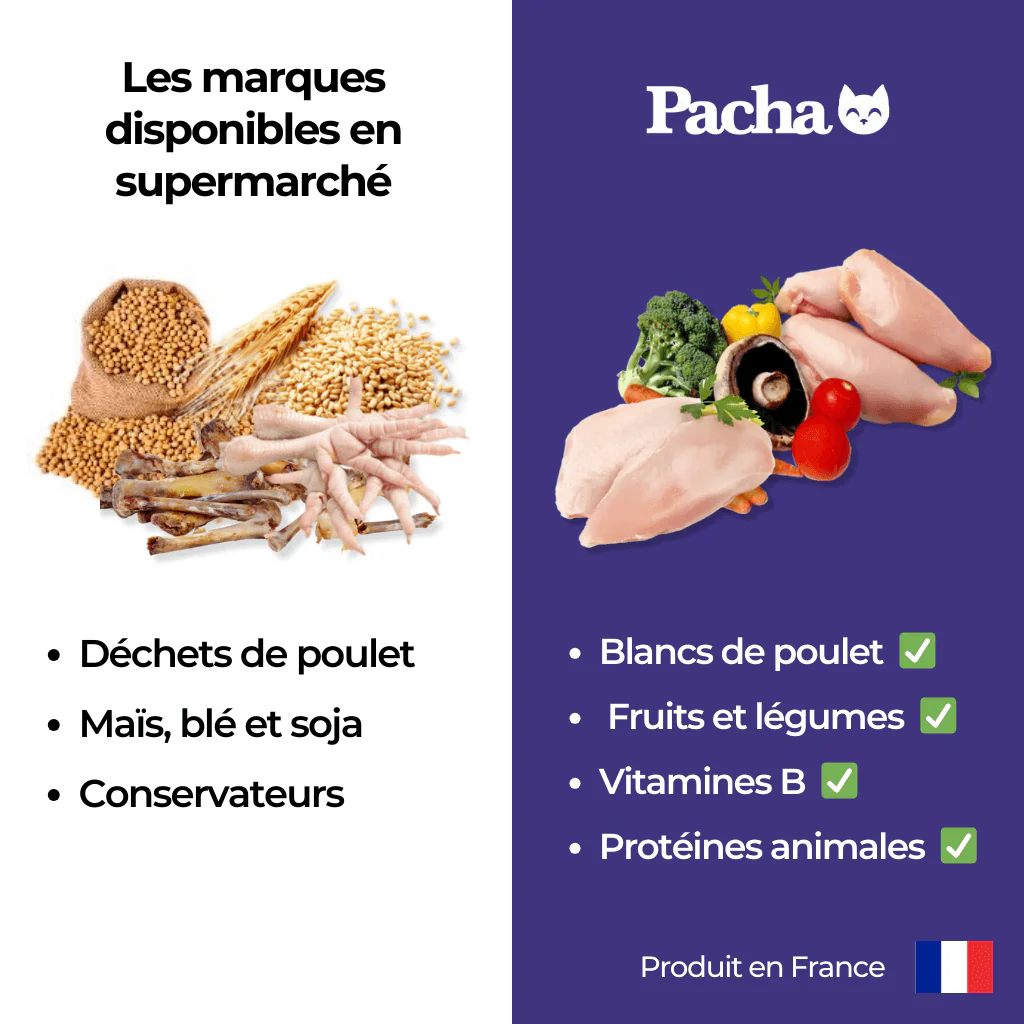 a) Les Croquettes Pacha™ - Image 3
