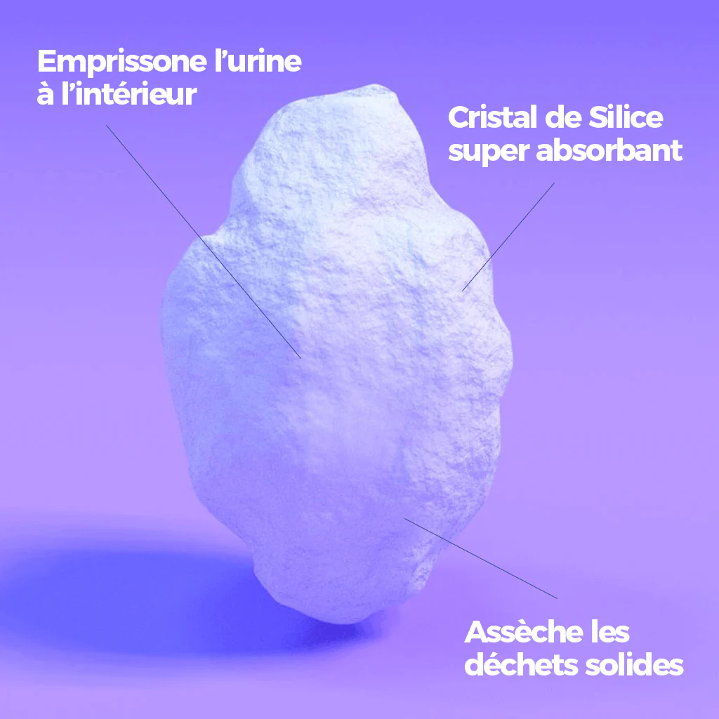 La Litière Pacha™ | Litière Intelligente (2 sacs) - Image 4
