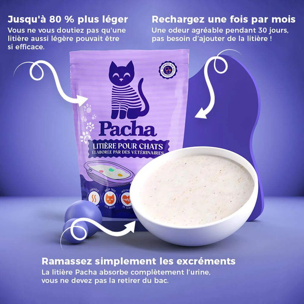Page d'accueil